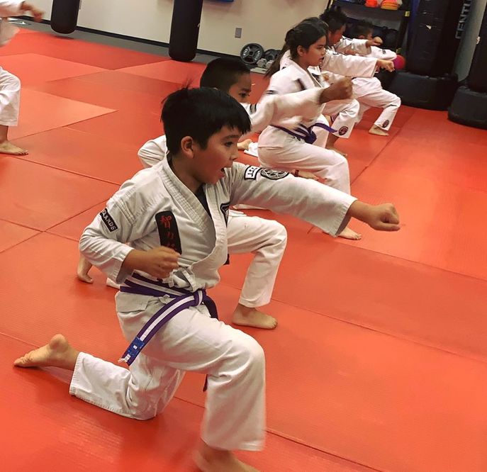 Martial Arts - KidPass Live Stage at Jeff Speakman's Kenpo 5.0 Redlands (Online)