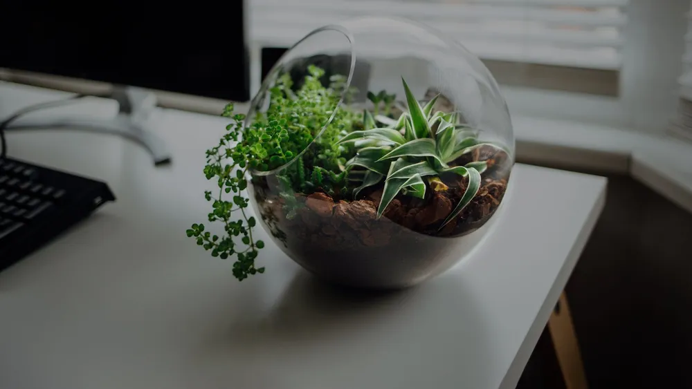 Luludi Living Art (Online)