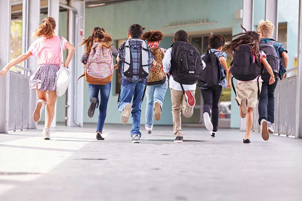 Chocolate Workshop at Chocolate Works - Brooklyn Heights