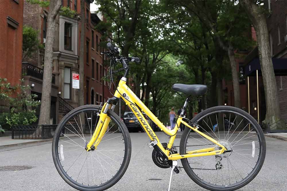 Unlimited Biking - Central Park