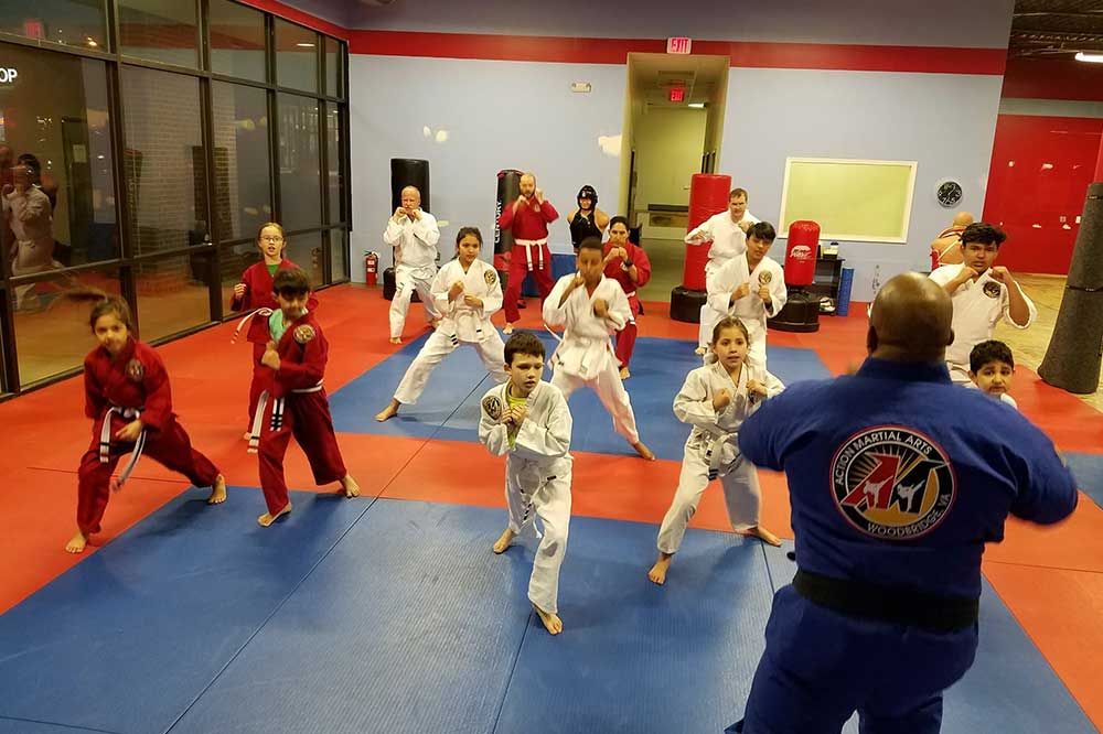 Action Martial Arts and Fitness, Inc.