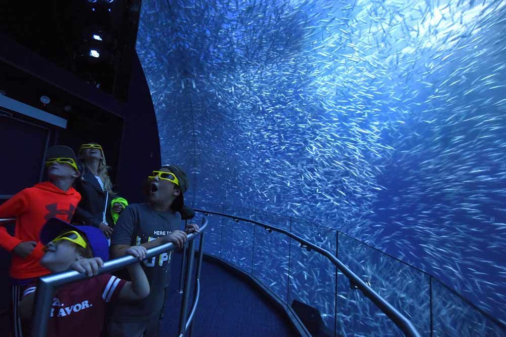 National Geographic Encounter: Ocean Odyssey
