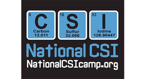 National CSI Camp (Online)