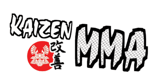 Kaizen MMA/Enshin Karate - Vienna