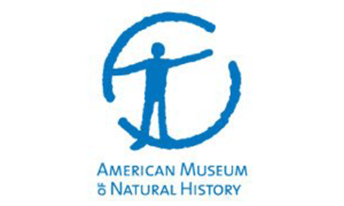 American Museum of Natural History (AMNH)