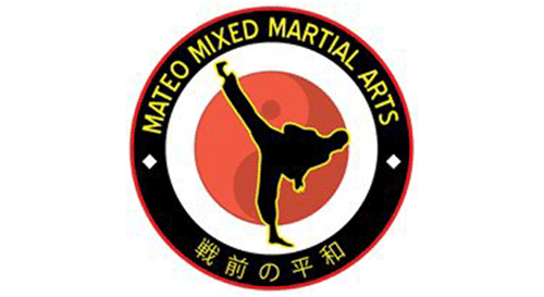 Mateo Mixed Martial Arts (at Ripley Grier Studios)