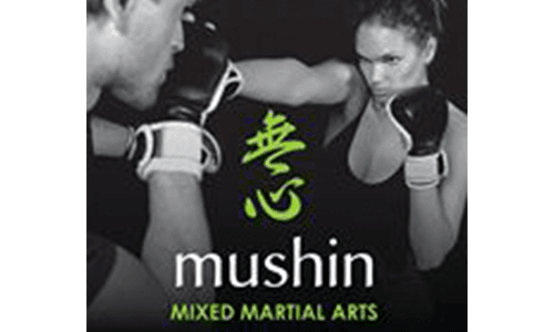 Mushin Mixed Martial Arts